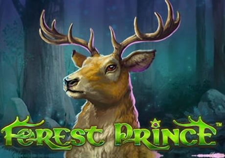 Playtech’s Forest Prince Slot Review